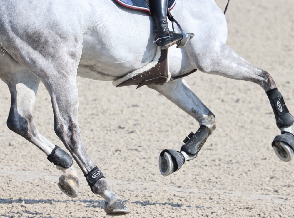 Action of ingredients