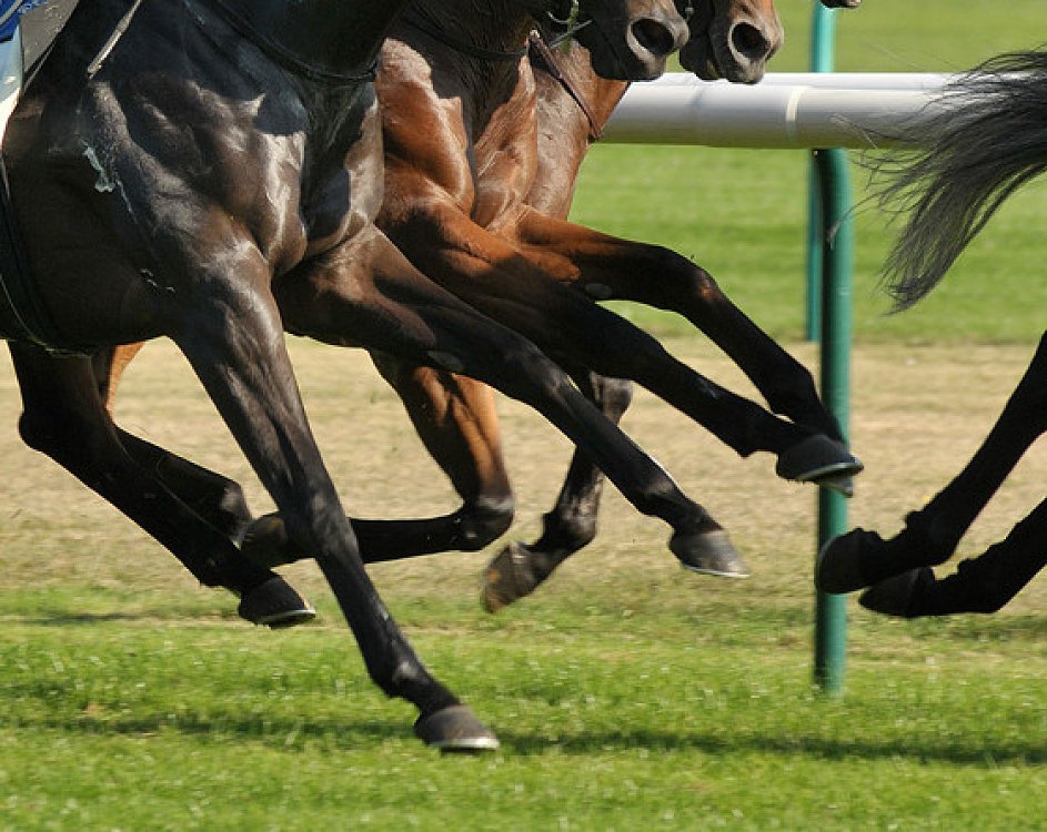 Acțiunea ingredientelor