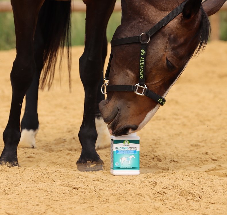 Specialized composition of active ingredients