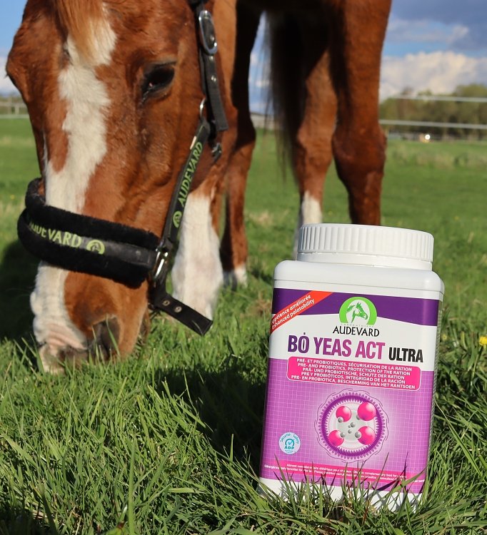 Specialized composition of active ingredients