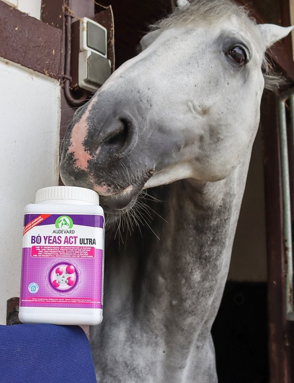 Action of ingredients