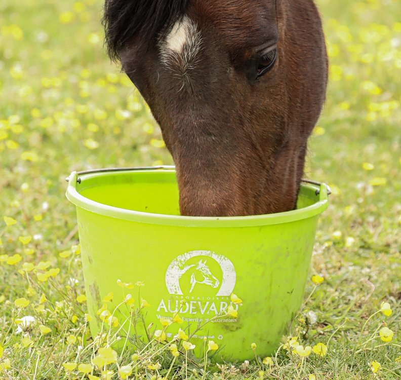 Acțiunea ingredientelor