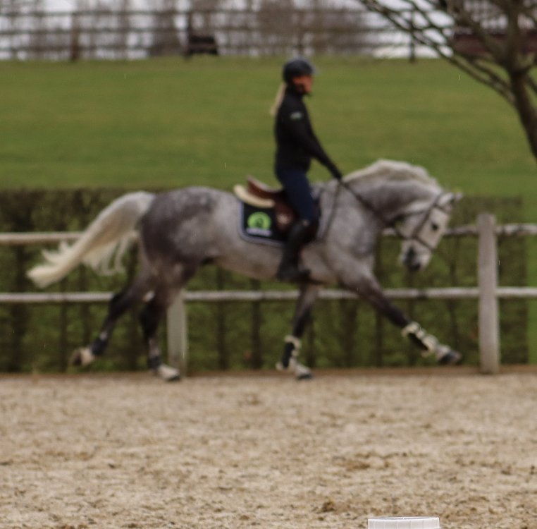 Specialized composition of active ingredients