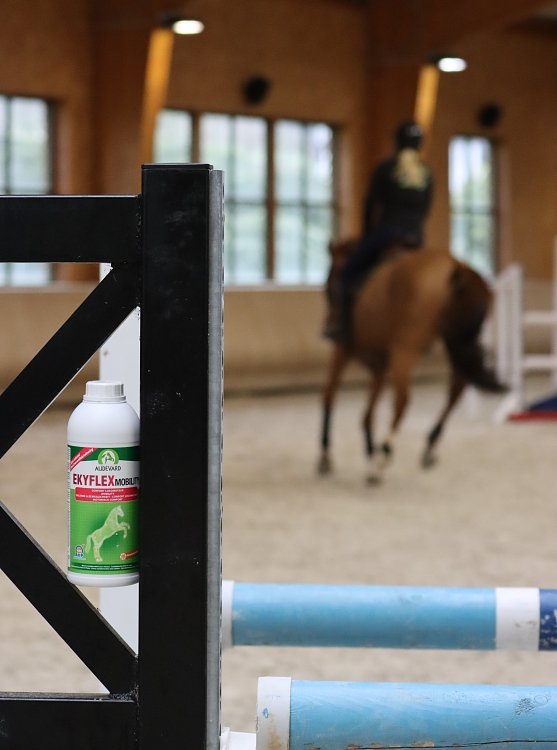 Action of ingredients