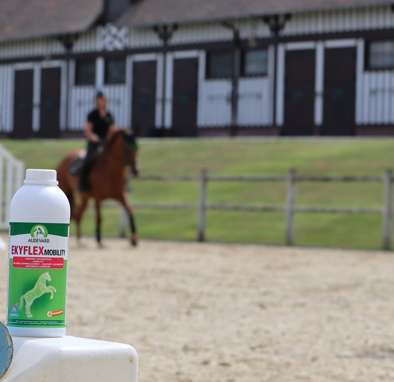 Specialized composition of active ingredients