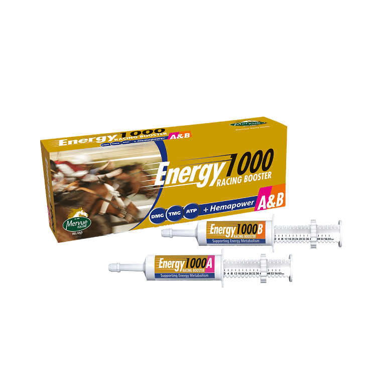 Mervue Energy 1000 A/B Racing Booster