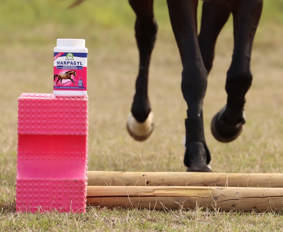 Acțiunea ingredientelor