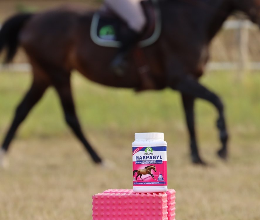 Compoziție specializată mai multor ingrediente active