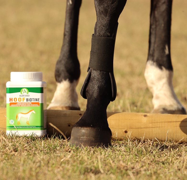 Acțiunea ingredientelor