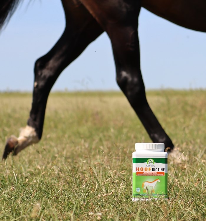 Compoziție specializată mai multor ingrediente active