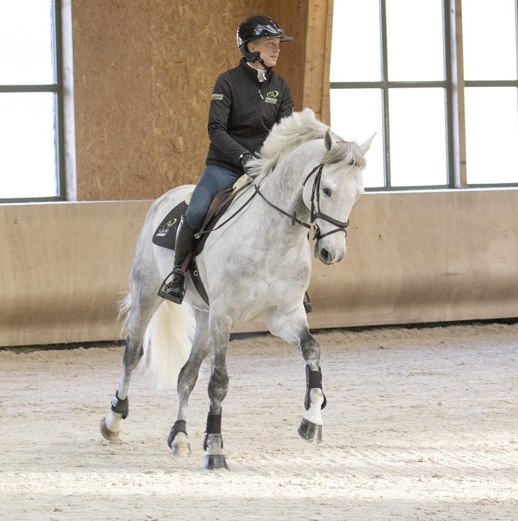 Specialized composition of active ingredients