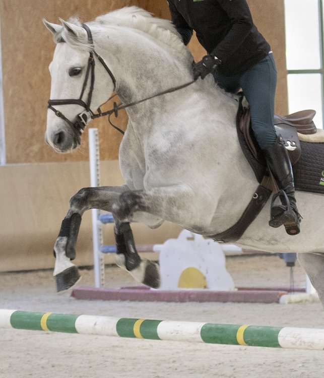 Specialized composition of active ingredients