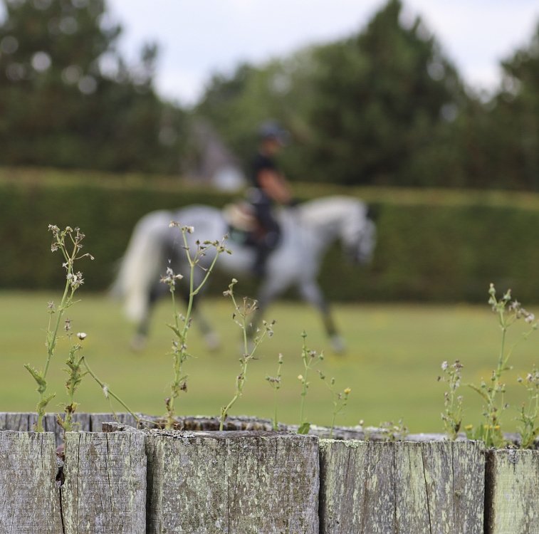 Specialized composition of active ingredients