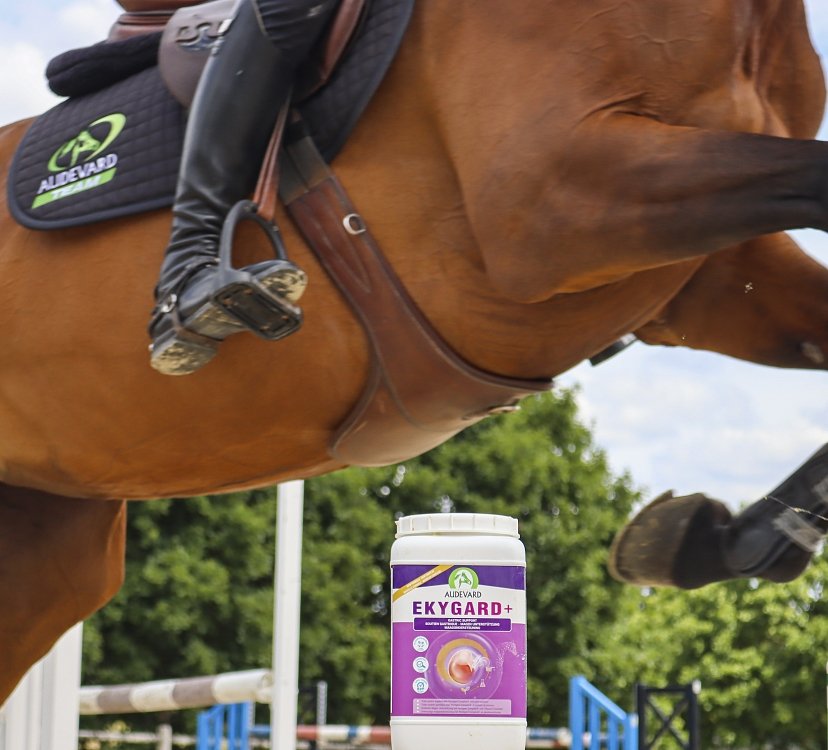 Action of ingredients