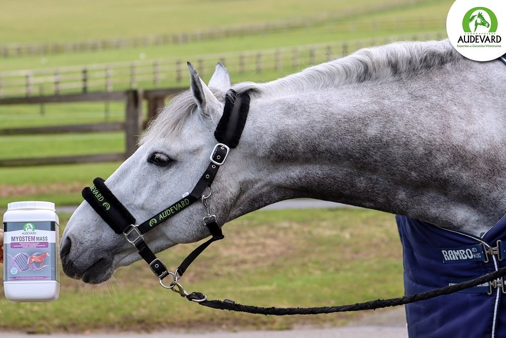 Compoziție specializată mai multor ingrediente active