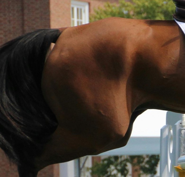 Action of ingredients