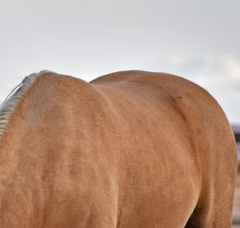 Specialized composition of active ingredients