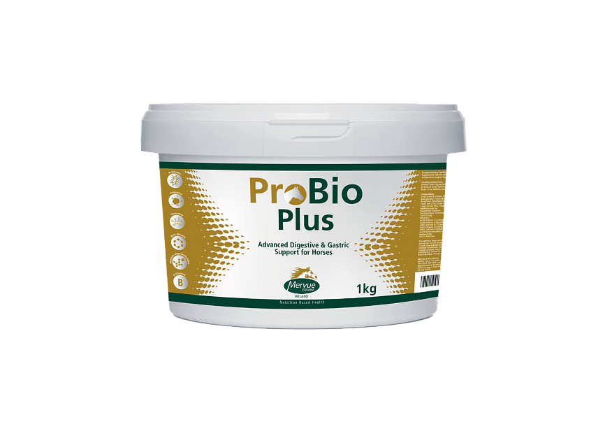 Mervue ProBio Plus