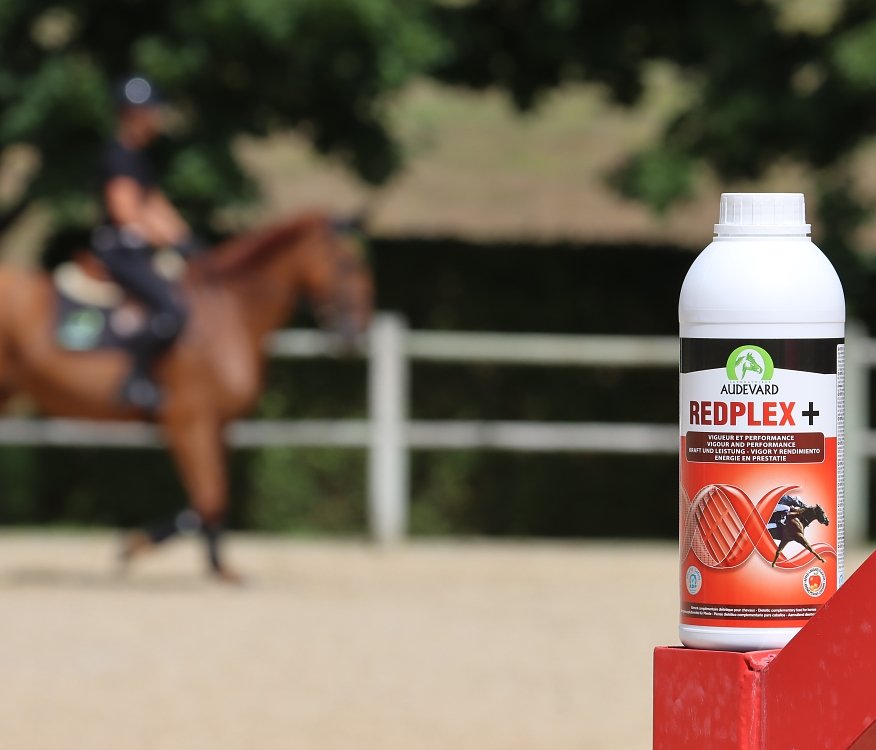 Specialized composition of active ingredients