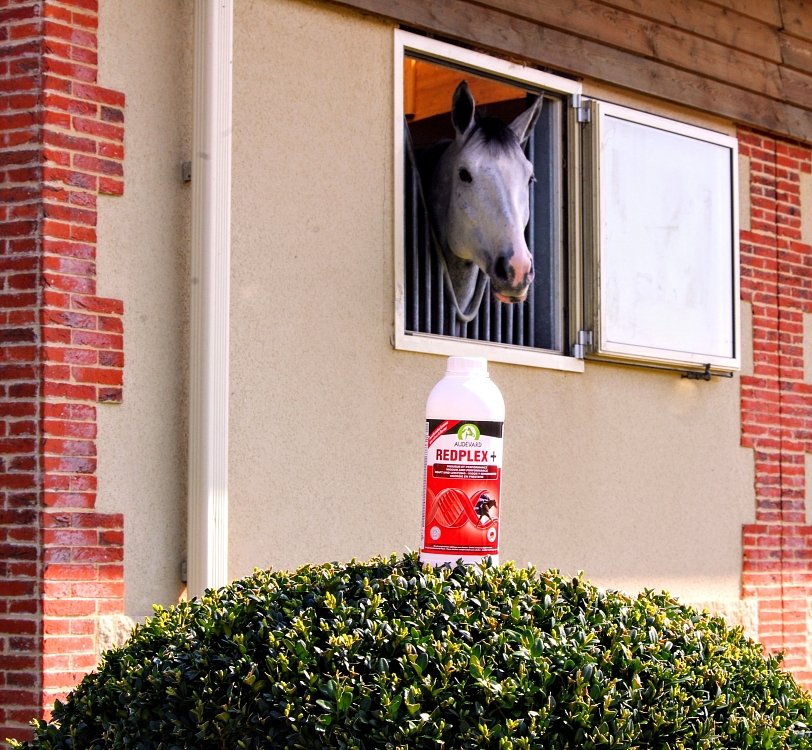 Action of ingredients