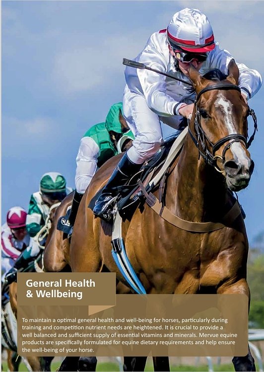 Features and Benefits