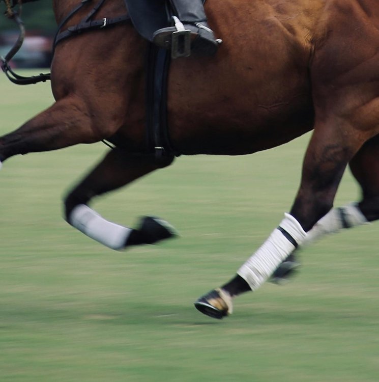 Acțiunea ingredientelor