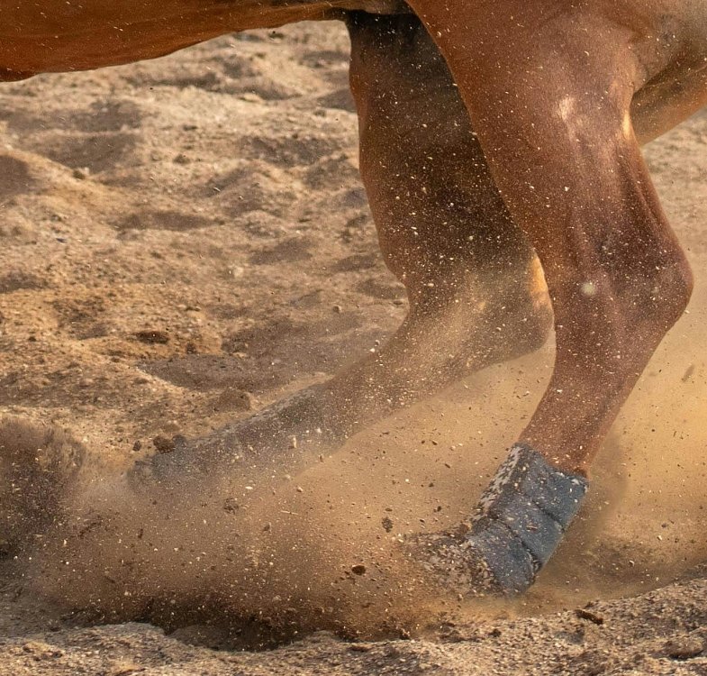 Compoziție specializată mai multor ingrediente active