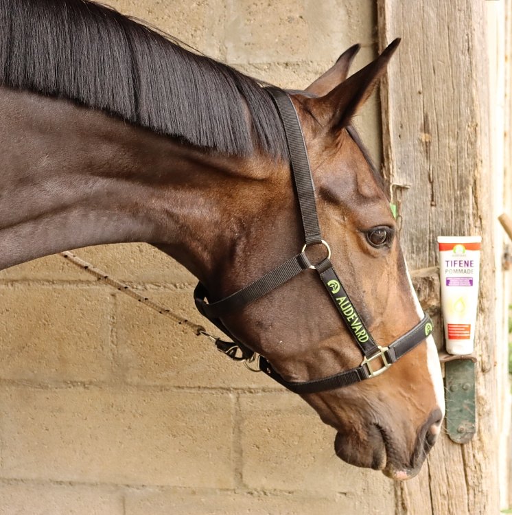 Compoziție specializată mai multor ingrediente active