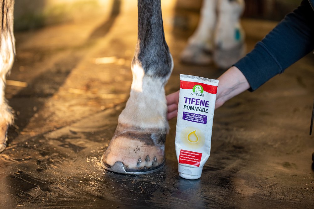 Acțiunea ingredientelor