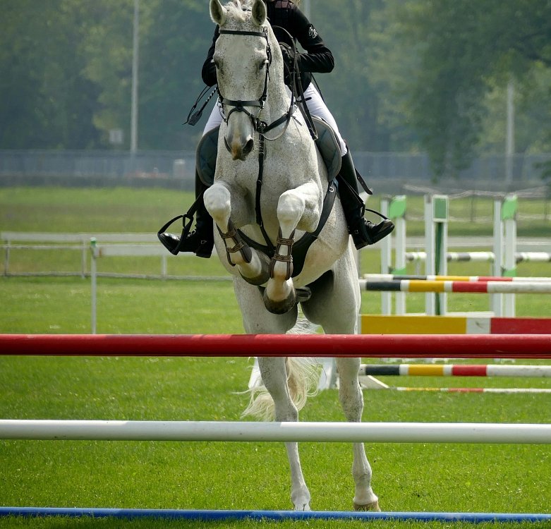 Acțiunea ingredientelor