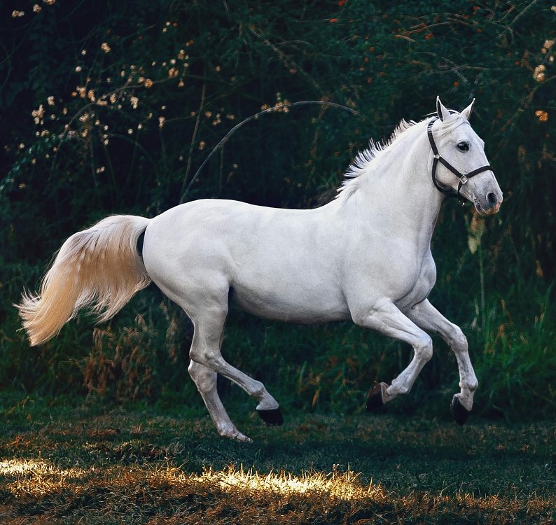 Compoziție specializată mai multor ingrediente active