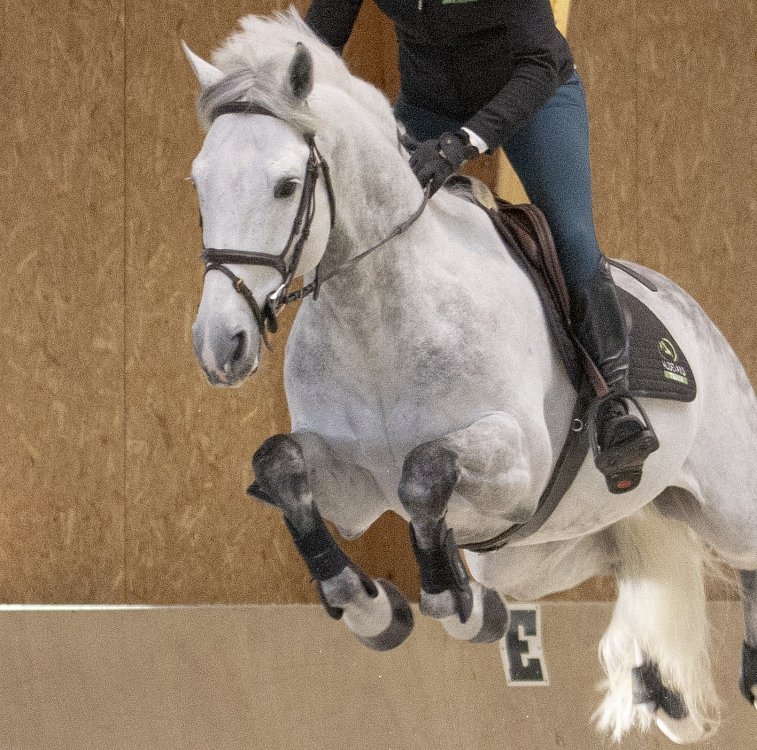 Compoziție specializată mai multor ingrediente active