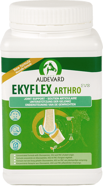 Audevard Ekyflex Arthro evo