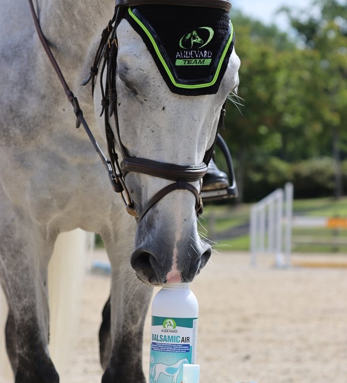 Specialized composition of active ingredients