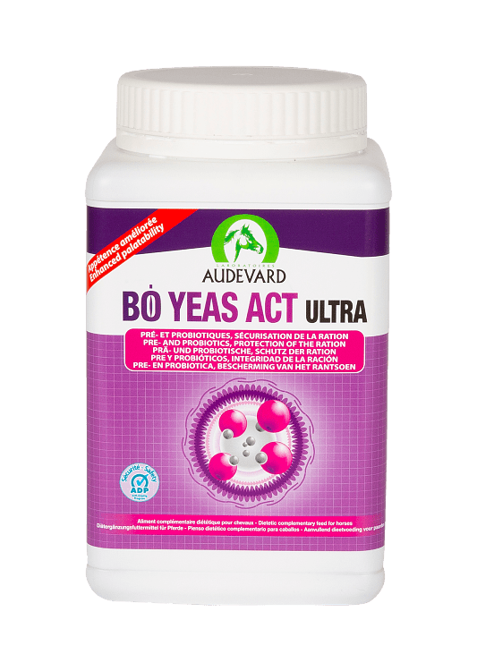 Audevard Bo Yeas Act Ultra