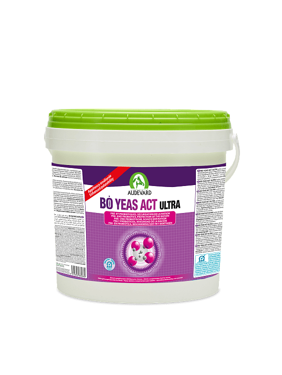 Audevard Bo Yeas Act Ultra