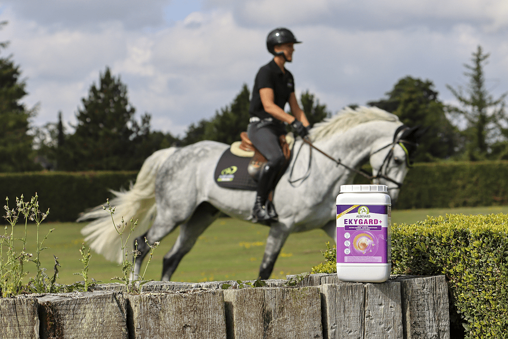 Specialized composition of active ingredients