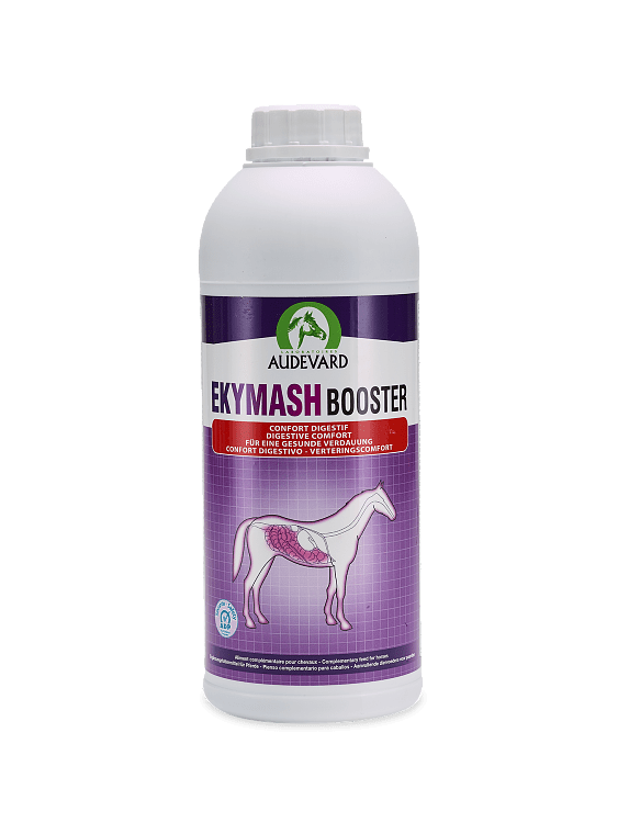 Audevard Ekymash Booster