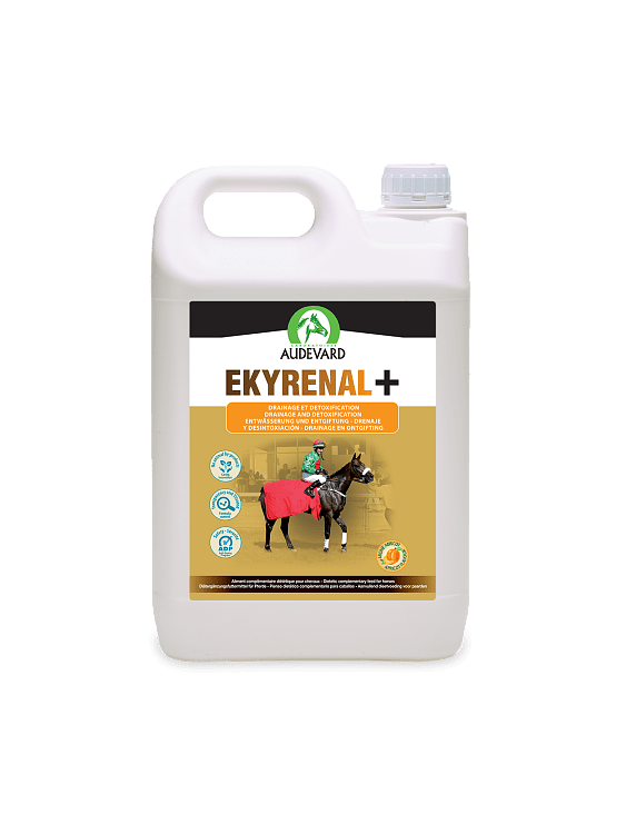 Audevard Ekyrenal Plus