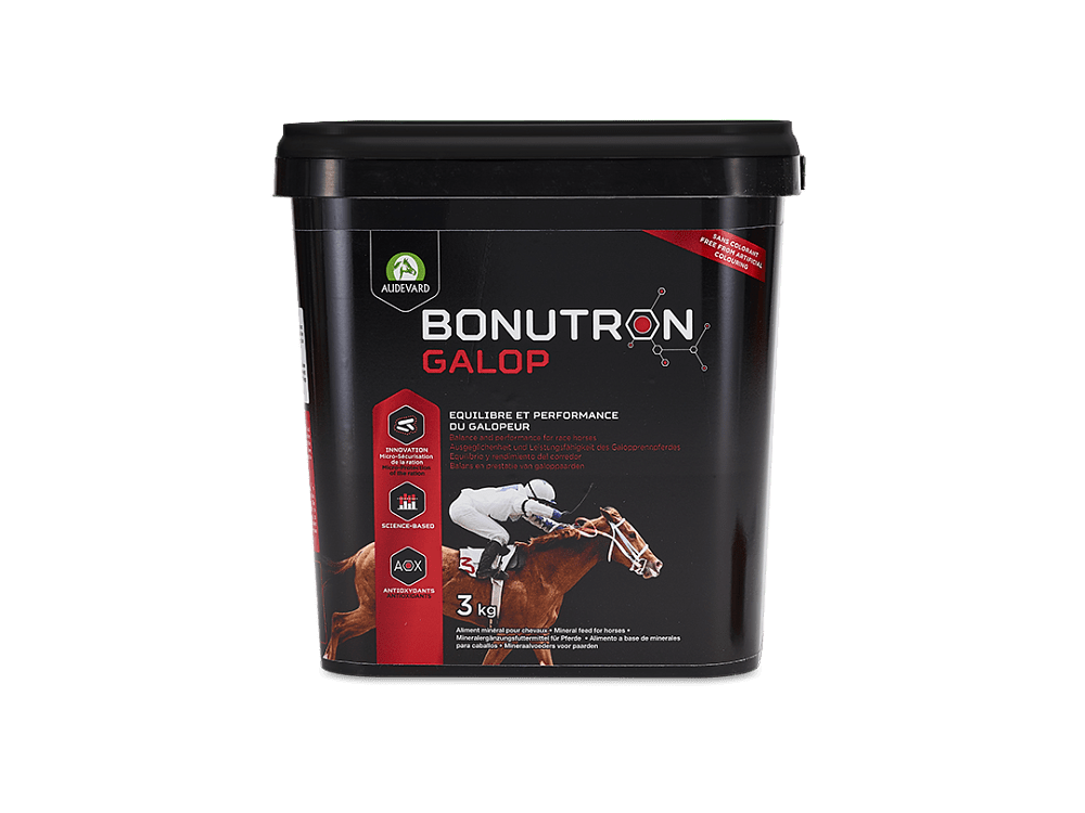 Audevard Bonutron Galop