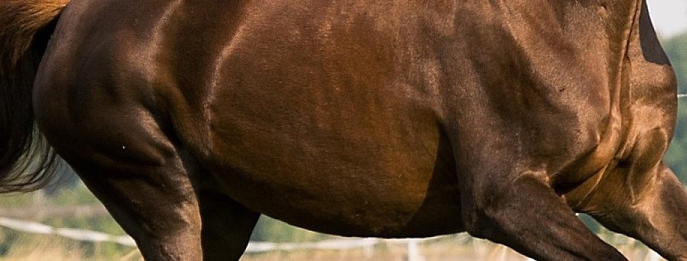 Compoziție specializată mai multor ingrediente active