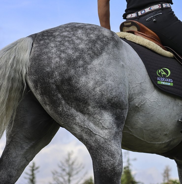 Compoziție specializată mai multor ingrediente active