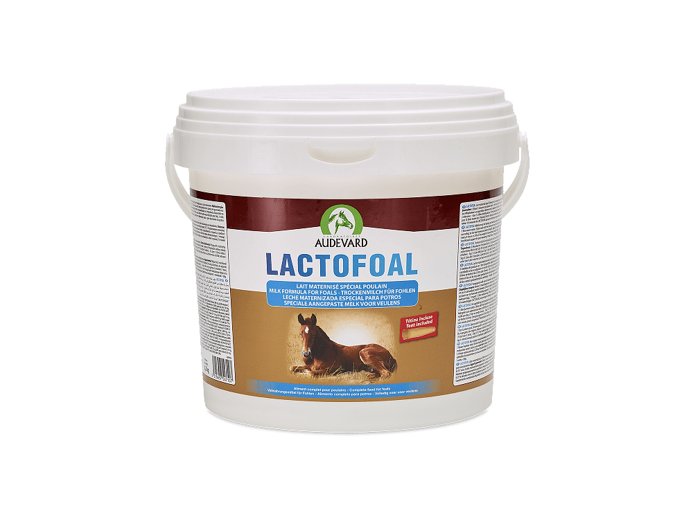 Audevard Lactofoal