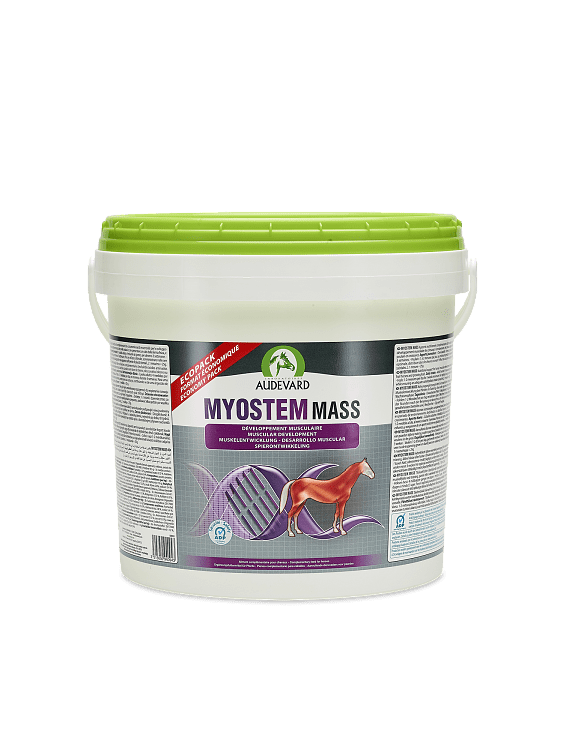 Audevard Myostem Mass
