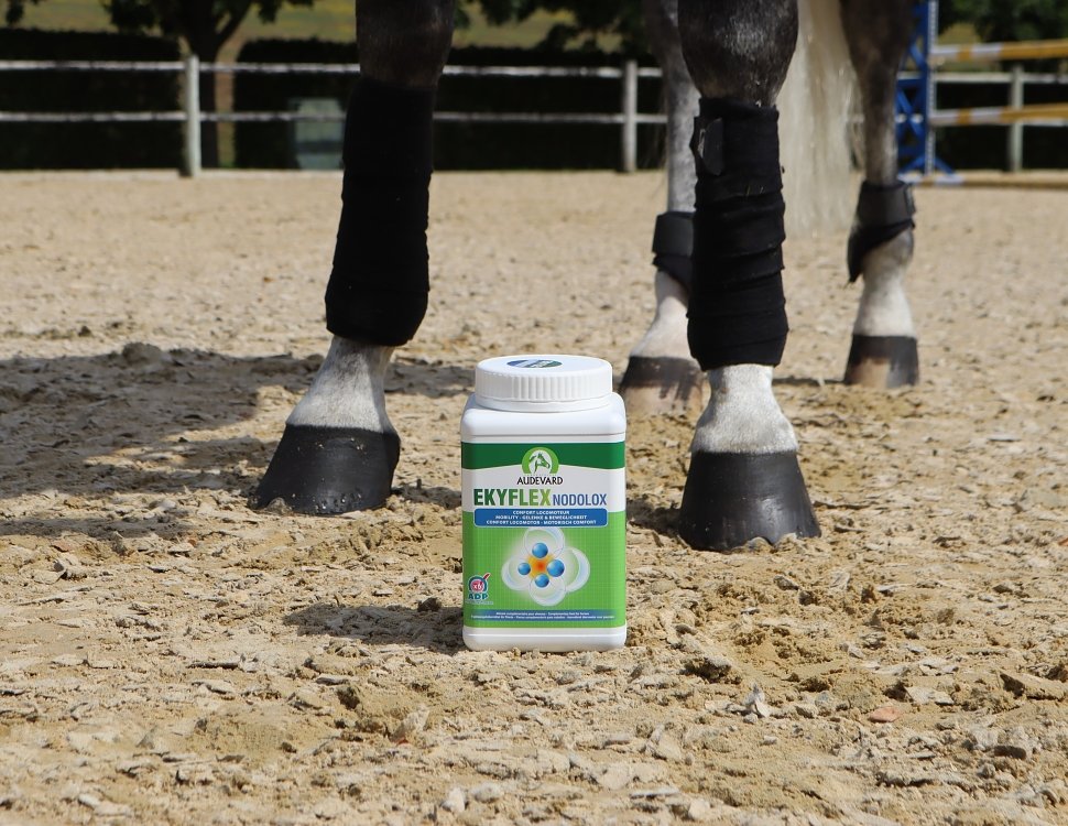 Specialized composition of active ingredients