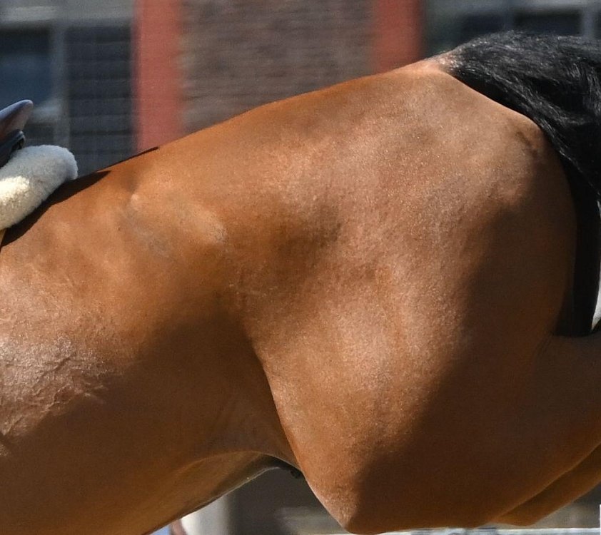 Action of ingredients