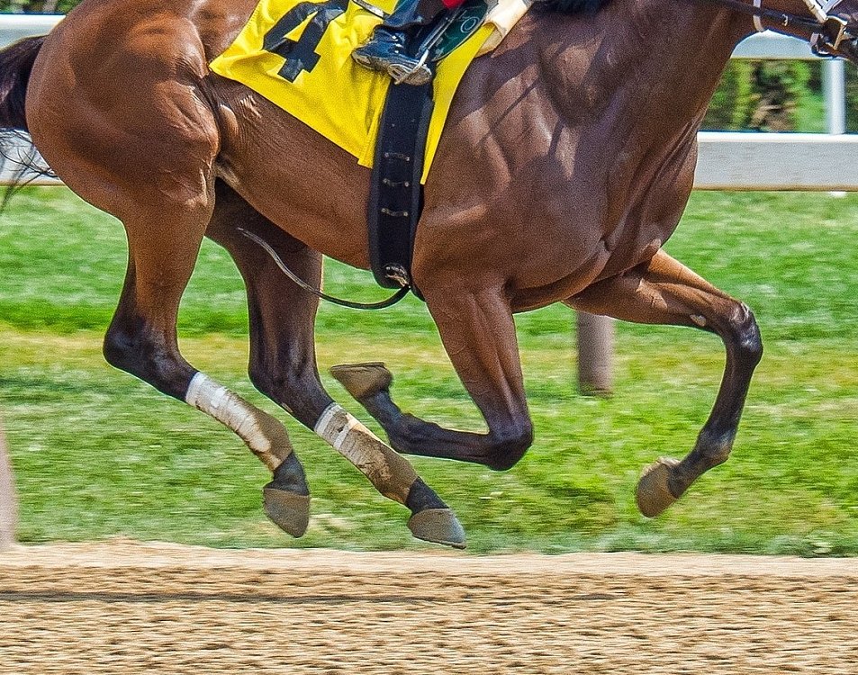 Compoziție specializată mai multor ingrediente active