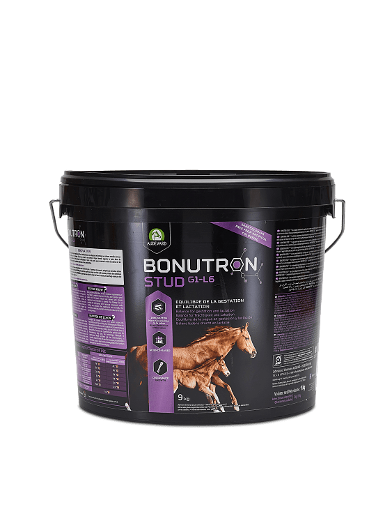 Audevard Bonutron Stud G1-6