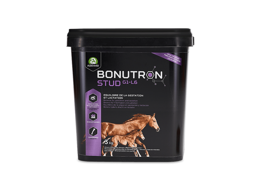 Audevard Bonutron Stud G1-6