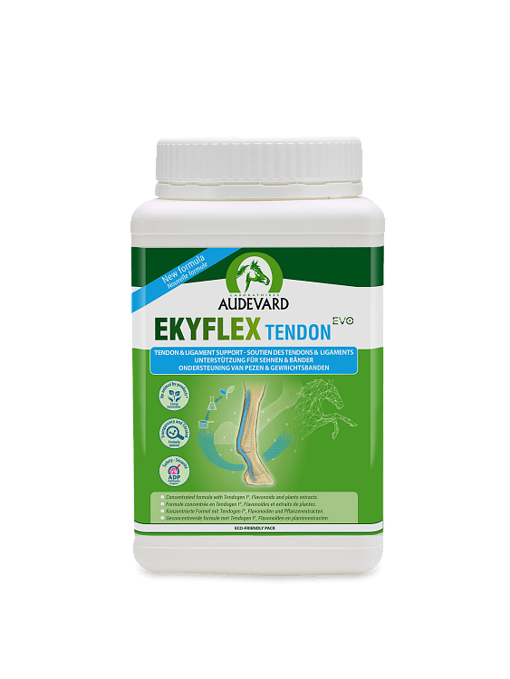 Audevard Ekyflex Tendon evo